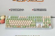 键盘短小适合哪些品牌？如何选择合适的键盘？
