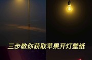 苹果手机屏幕开灯设置方法是什么？