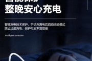 小插头苹果充电器使用方法是什么？