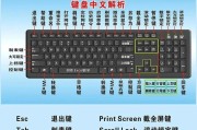 工作用键盘哪个品牌好？选择标准是什么？