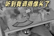 猫玩具手机摄像头的使用方法是什么？