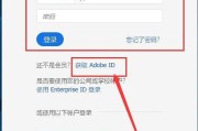 Adobe破解补丁使用教程（详解Adobe破解补丁的使用方法及注意事项）