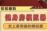 健身模拟器布局调整方法是什么？如何优化使用体验？