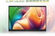 极字笔记本电脑是什么品牌或型号？