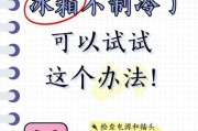 冰箱不制冷检查维修方法（全面解读冰箱制冷原理及故障排除技巧）