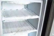 冰箱清洗指南（轻松保持冰箱清洁与卫生）