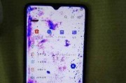 手机内屏漏液的修复方法（解决手机内屏漏液问题）