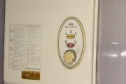 博世燃气热水器故障排除指南（解决您热水器故障的最佳选择）