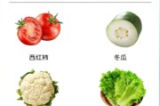 拍食材时摄像头怎么用的手机？使用技巧有哪些？