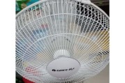 电风扇不转的原因及解决方法（揭秘电风扇停转的神秘原因）