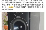 书架音箱外观不好看怎么遮丑？有创意的方法有哪些？