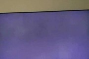索尼电视机白屏故障处理方法（如何解决索尼电视机白屏问题）