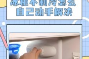 冰箱不制冷，如何快速解决（15个简单的步骤告诉你如何让冰箱重新工作）