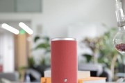 如何选择适合自己的智能音箱（为你解析智能音箱市场的关键信息）