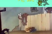 杰瑞高清摄像头如何与手机连接？连接过程中可能遇到哪些问题？