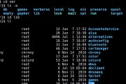 掌握Linux常用命令，轻松驾驭终端（分享Linux常用命令及用法）