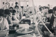 望牛墩电风扇厂的名称是什么？