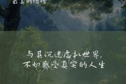 手机拍照时如何撰写吸引人的文案？