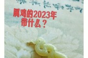 手机壳荣耀破太岁怎么解决？有无特别的处理方式？