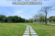 教你如何轻松实现照片的镜面旋转（简单易学的方法让你的照片更加神奇）