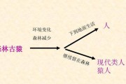 人类起源的奇迹（揭开人类起源之谜）