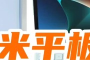 小米平板全屏观看抖音设置方法是什么？