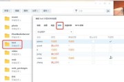 服务器硬盘挂载系统的正确方法是什么？挂载过程中可能遇到哪些问题？