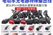 绿源自动充电器的使用方法和注意事项是什么？