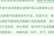 探讨大金空调中央空调故障代码及解决方法（解读大金中央空调常见故障代码）