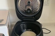 揭秘美的电饭煲易烧坏的原因（探究美的电饭煲易烧坏的隐患及解决之道）
