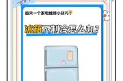 5个方法解决冰箱不制冷问题（从清洁到维修）