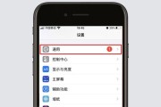 苹果手机如何查型号（了解苹果手机型号的方法和步骤）