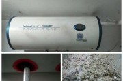 如何正确清洗李沧热水器（轻松掌握李沧热水器清洗方法）