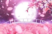 免费高清小视频素材，让你的创作更加精彩（从免费到高清）