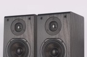 四寸木头音箱选购技巧是什么？如何辨别音质？