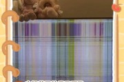 电视屏幕显示异常的解决方法是什么？