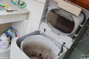 如何彻底清洁半自动洗衣机内桶污垢（细节决定成败）