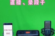 金运音响怎么连接笔记本电脑？连接步骤和技巧是什么？