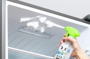 家用冰箱除臭剂的选择与使用（常见的家用冰箱除臭剂及其使用方法）