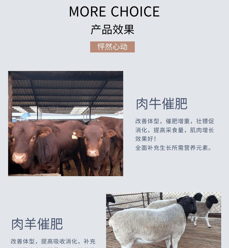 以羊催肥的最简单方法（简单有效的羊肉催肥技巧）