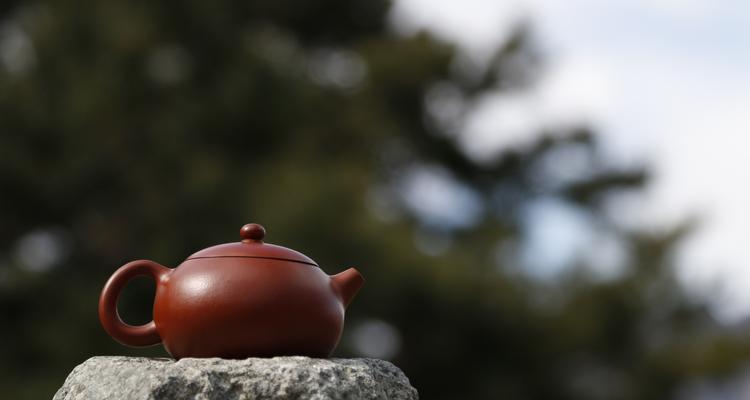 紫砂壶开壶教程（学会开壶）
