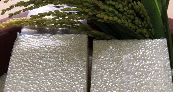 夏天大米生虫子，如何处理（掌握关键技巧）