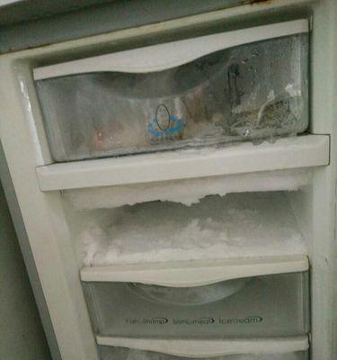 冰箱管道清洗的方法和注意事项（保持冰箱清洁）