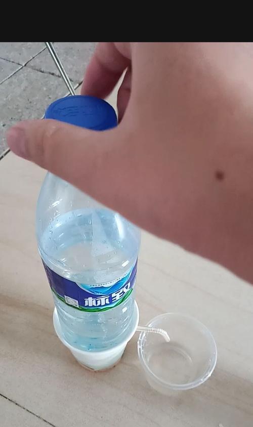 自制饮水机无吸管的解决方案（如何在自制饮水机中使用无吸管系统）