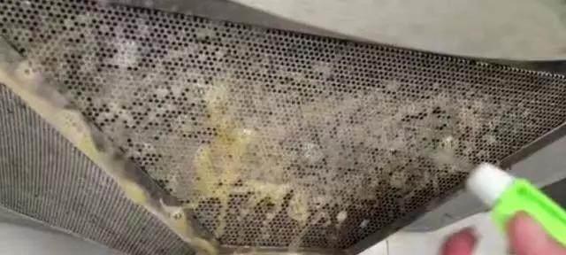 用醋清洗厨房油烟机的妙招（让厨房油烟机清洁如新）
