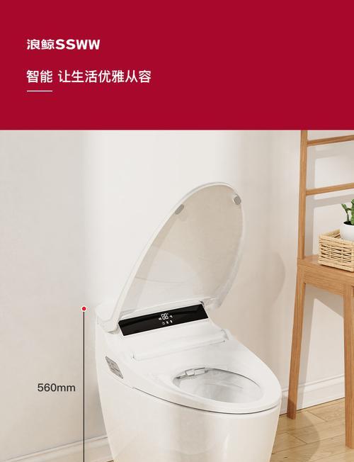 浅析浪鲸马桶异味原因及解决办法（马桶反臭味）
