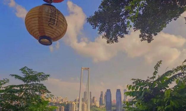 防止证件被黑复印的有效方法（保护个人信息安全）