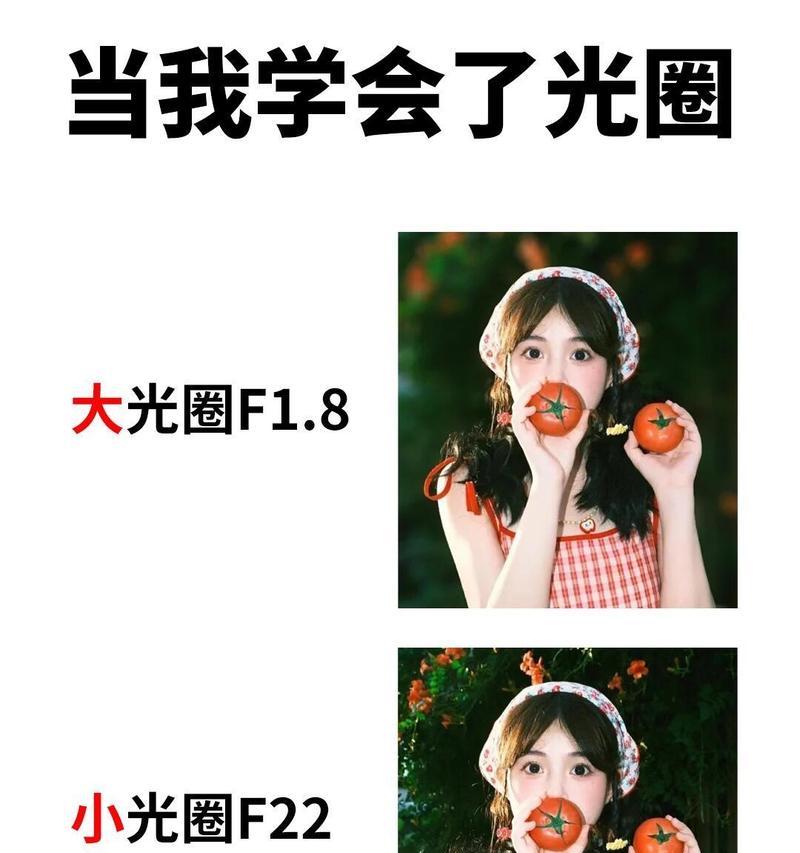 如何拍出背景虚化的图片？掌握这些技巧轻松实现！