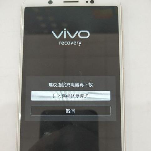 vivo手机黑屏了怎么办？全面解决黑屏故障的方法是什么？