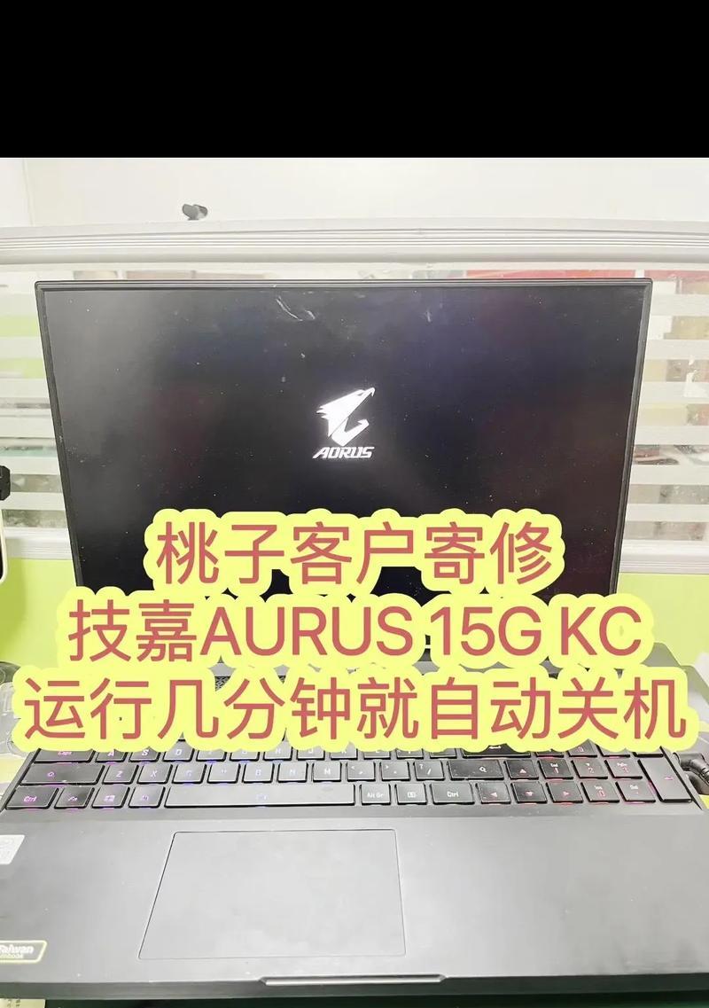 苹果X黑屏无法操作怎么办？强制关机的正确步骤是什么？